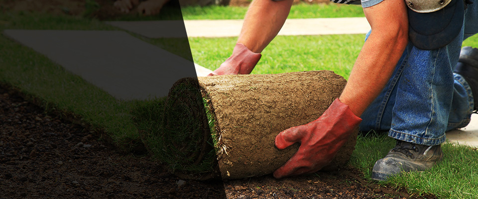 Akron Landscapers